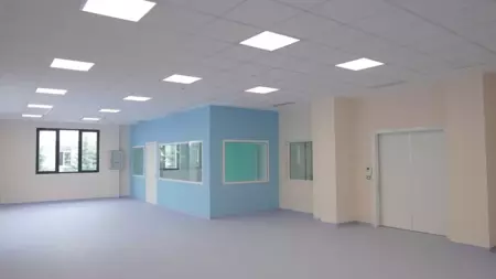 Stropovi